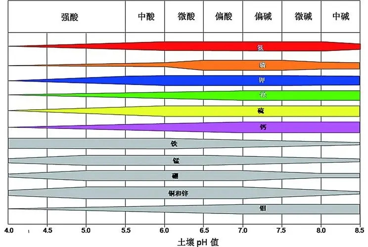 水蜜桃视频在线播放酸堿度速測儀