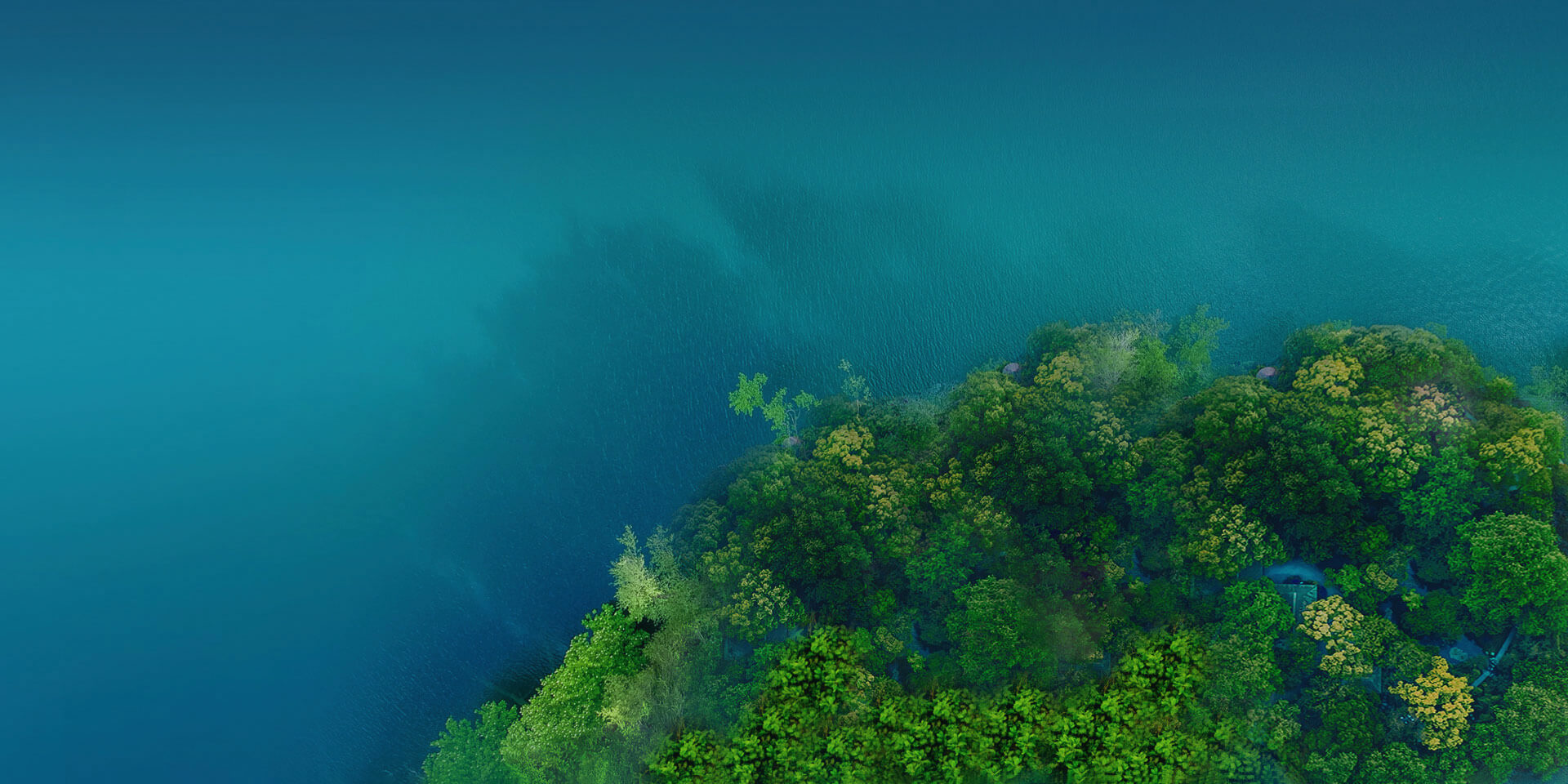 關於蜜桃811TV直播APP下载